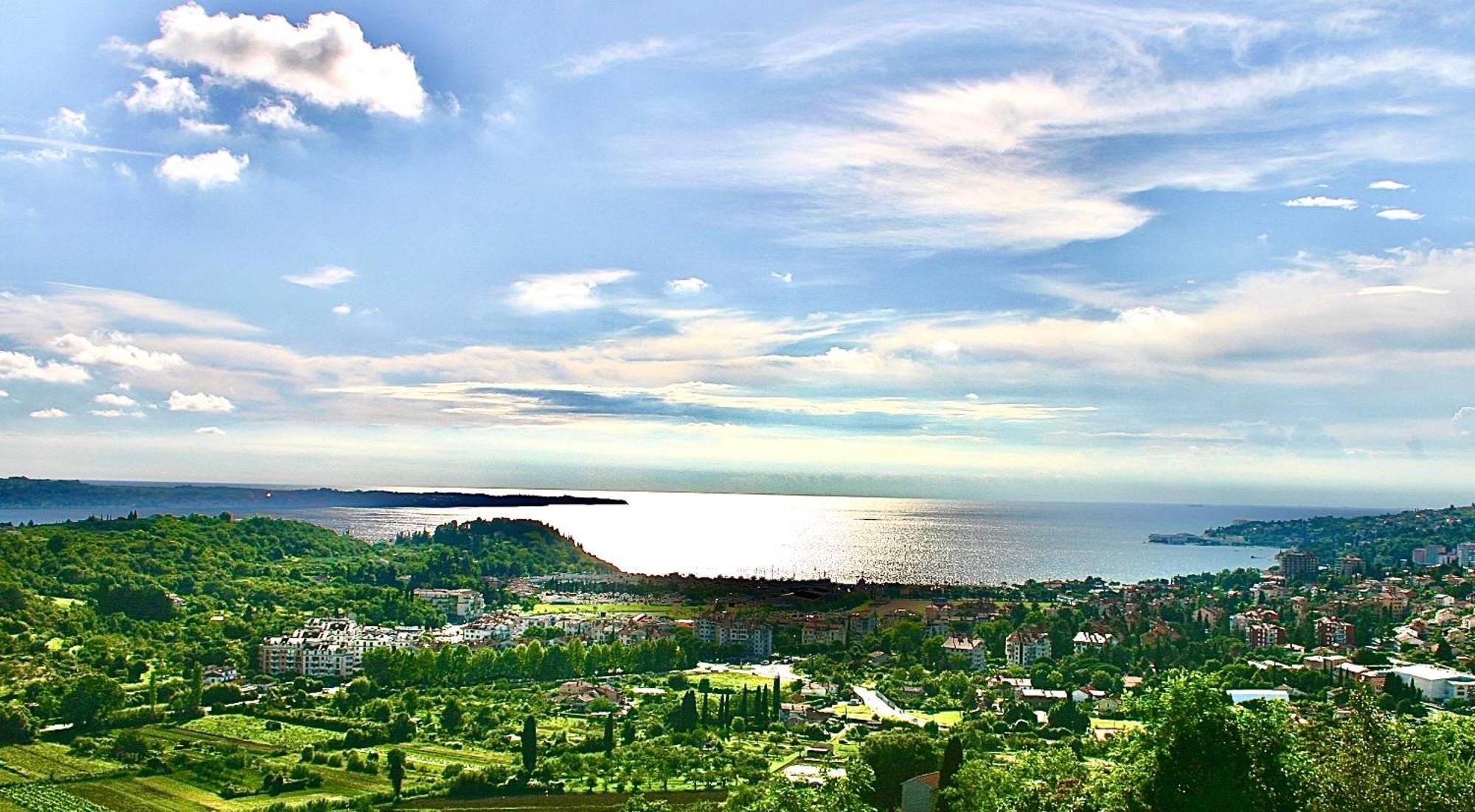 Sea View Olive Retreat Apartment ปอร์โตรอซ ภายนอก รูปภาพ